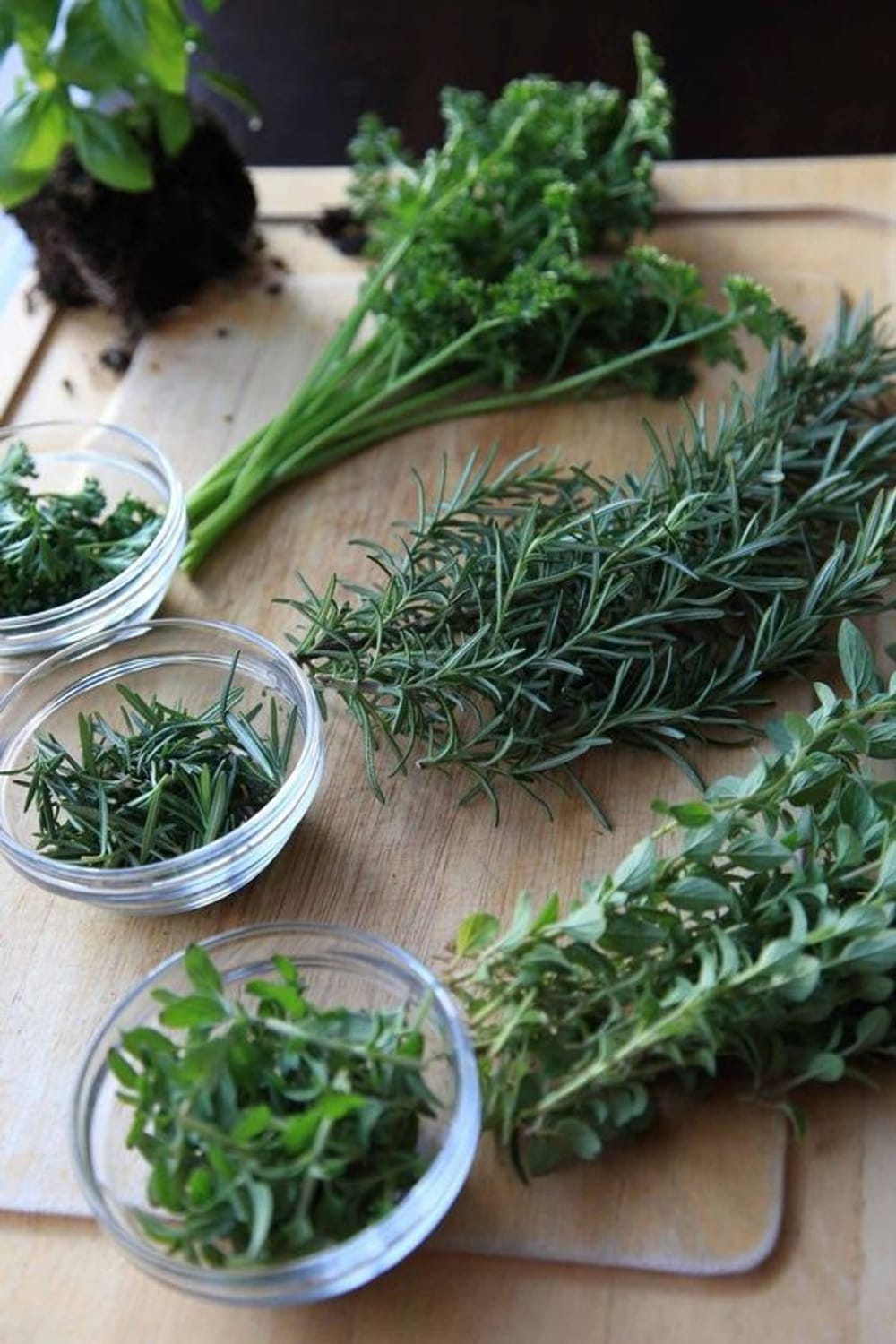 Ervas medicinais usadas no protocolo de ginecologia natural